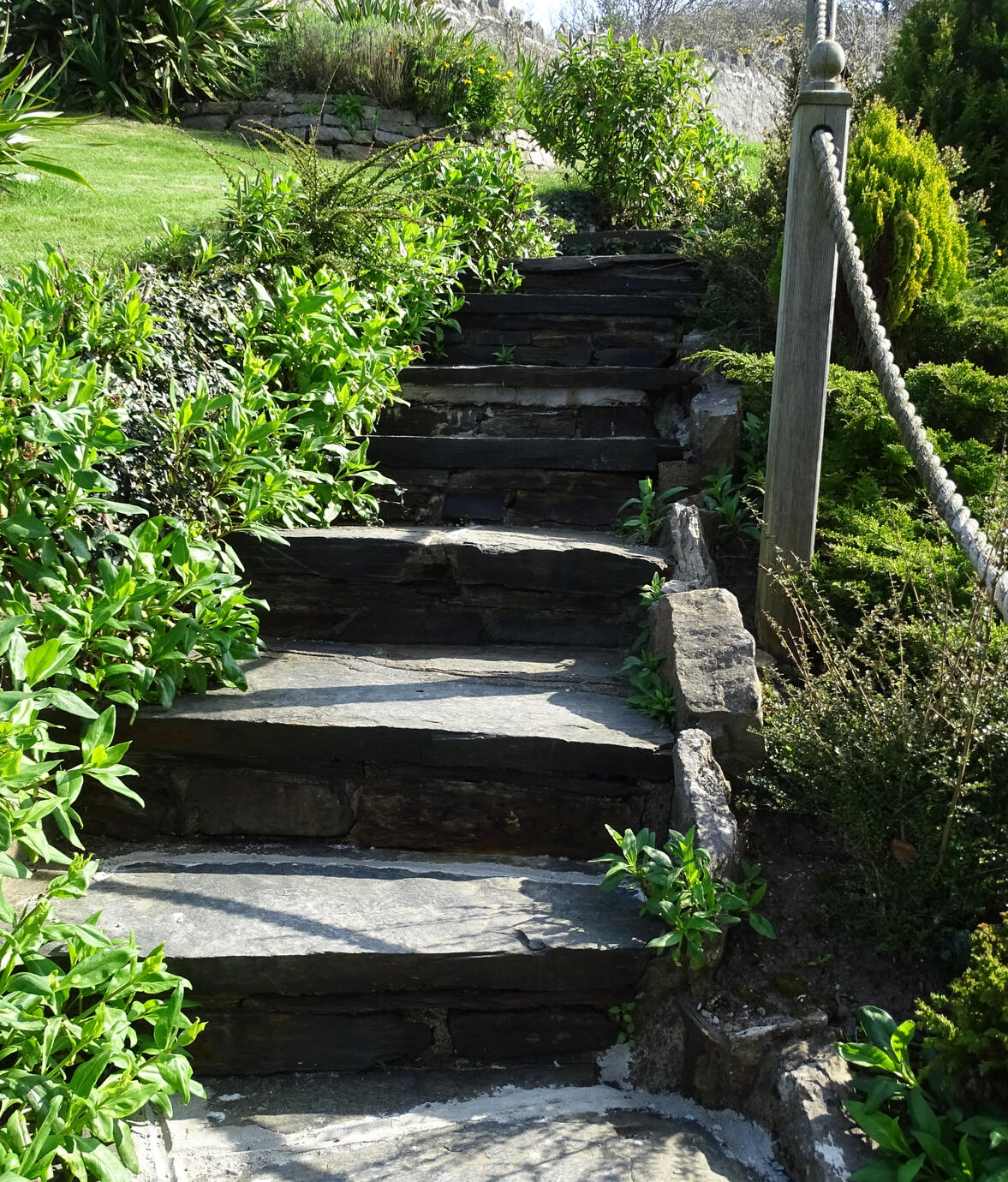 Steps and Paths