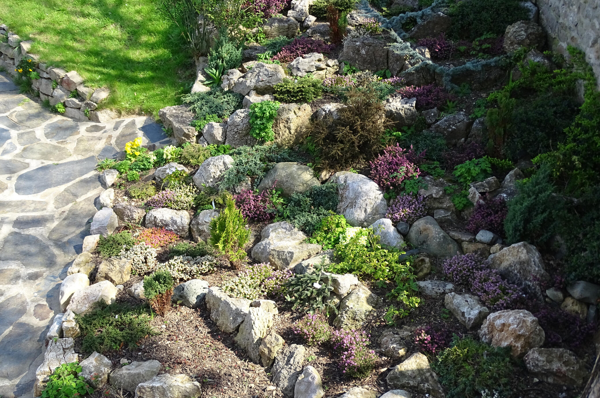 Rockery Maintenance and Design
